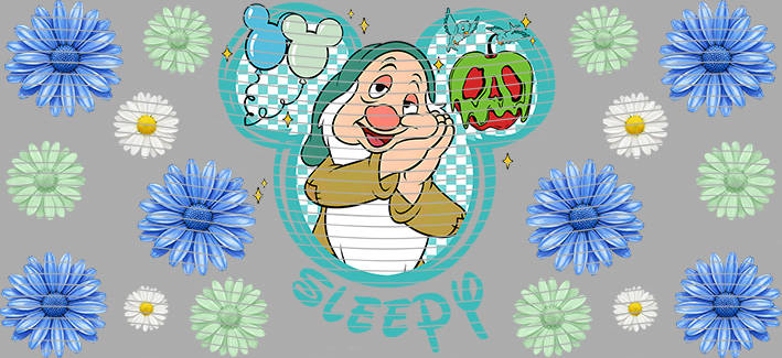 16oz Disney style-D-2485